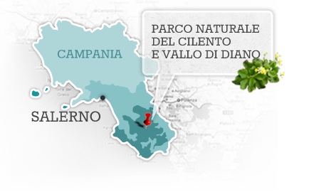 mappa Cilento